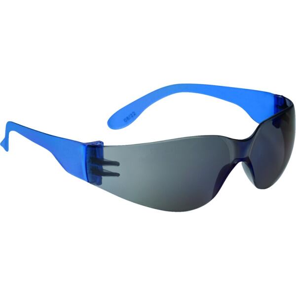 GAFAS BRAVA2 FLASH
